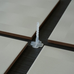 TLC100-2MM