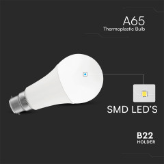 24038ProductInfo-1