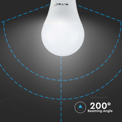 217262ProductInfo-2