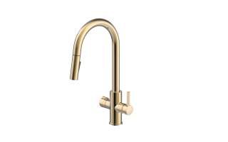 4in1 Pull Out Brushed Gold