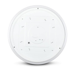 217609Cutout-4